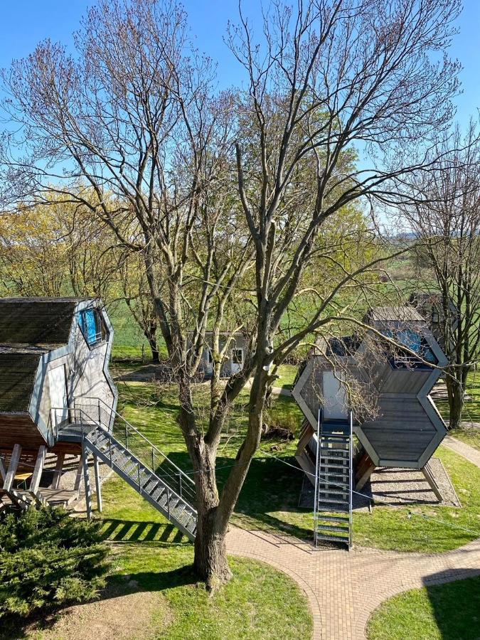 Gruene Wiek Wabenhausherberge Beckerwitz Gramkow Zewnętrze zdjęcie